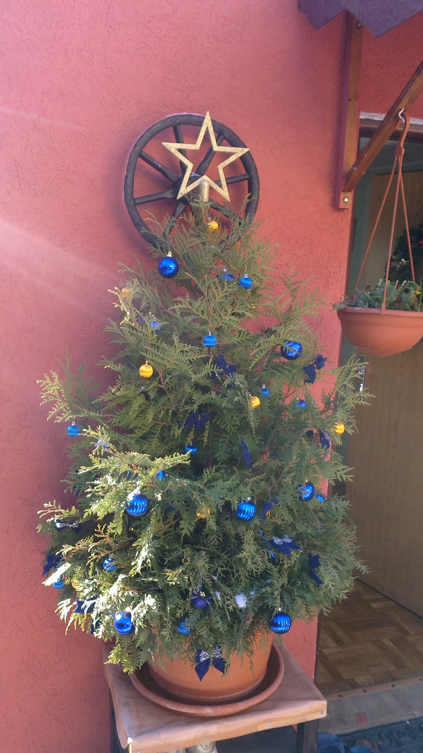 2012-12-06-0062